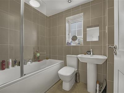 Picture 16